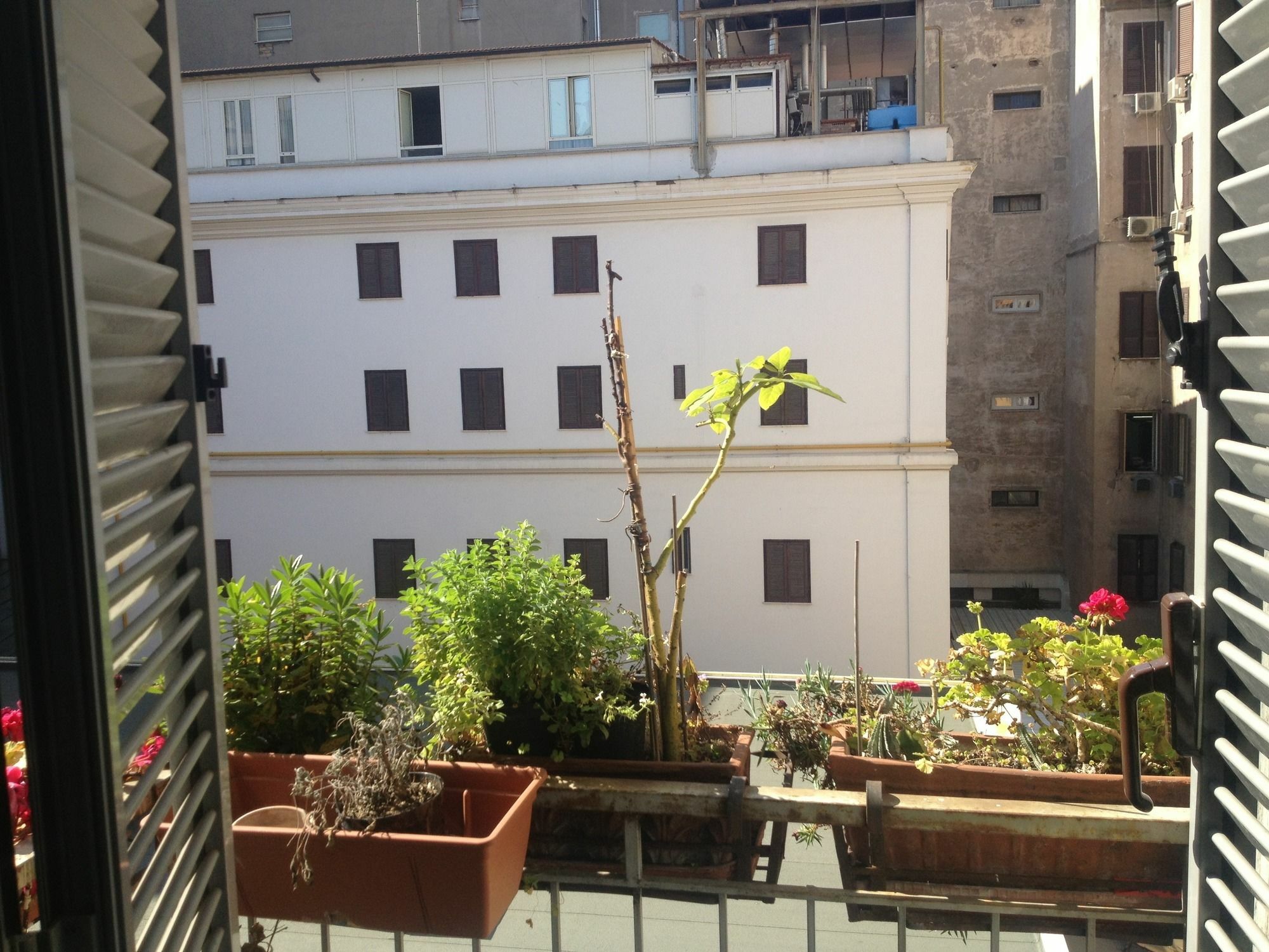 Roma Termini Inn Exterior photo